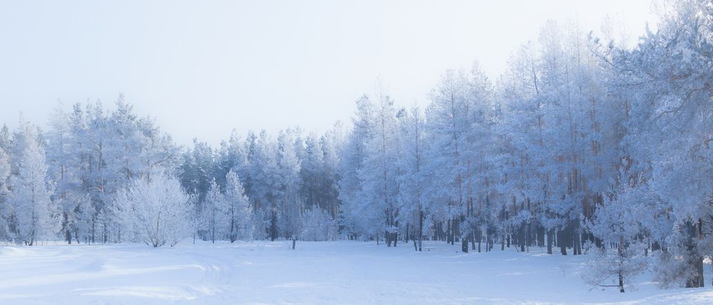 Photograph by Степан Ковыльчик