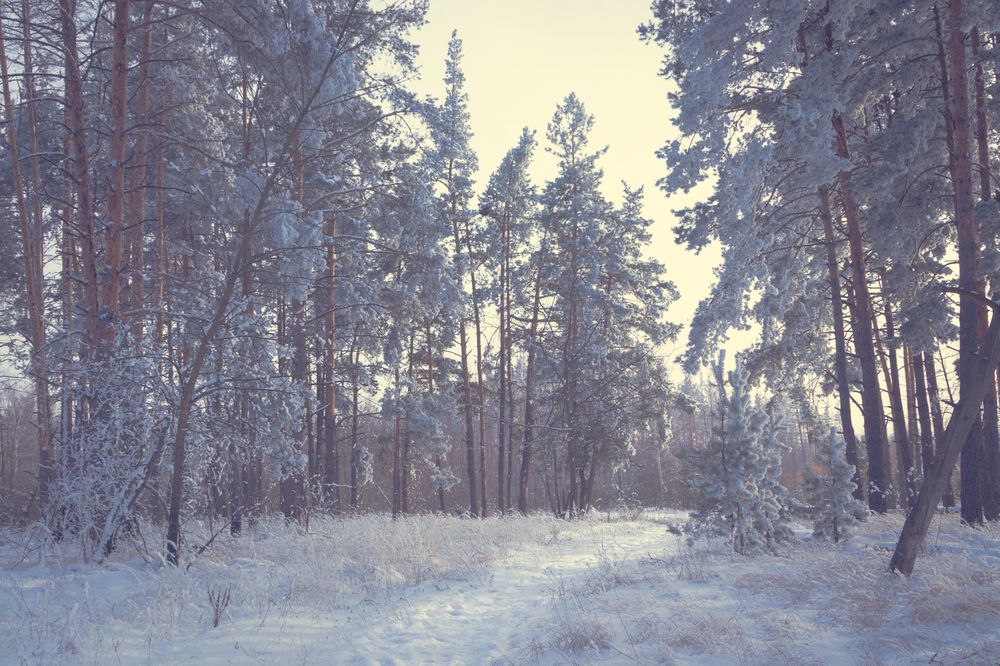 Photograph by Степан Ковыльчик