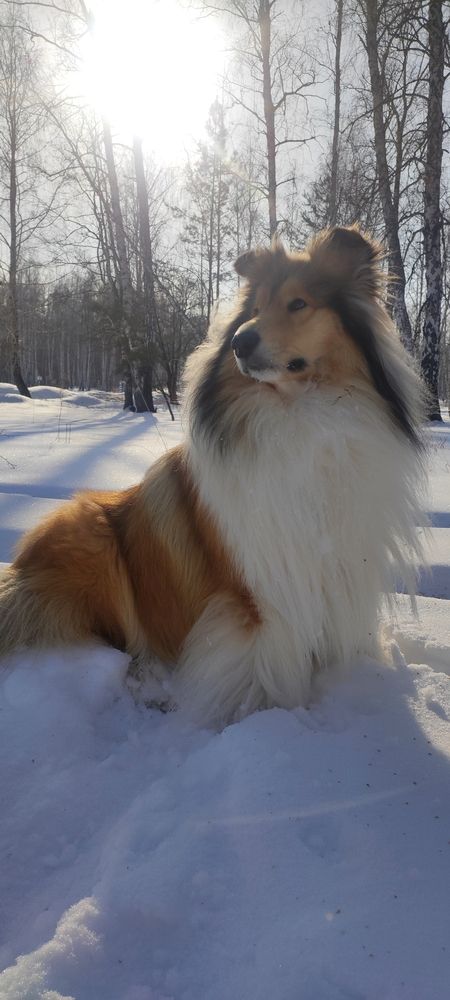 Фотография автора Анастасия Большакова