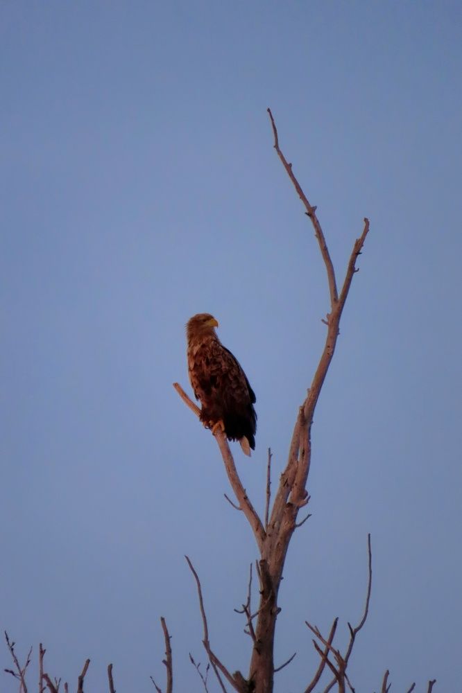 Photograph by Ольга Веселова