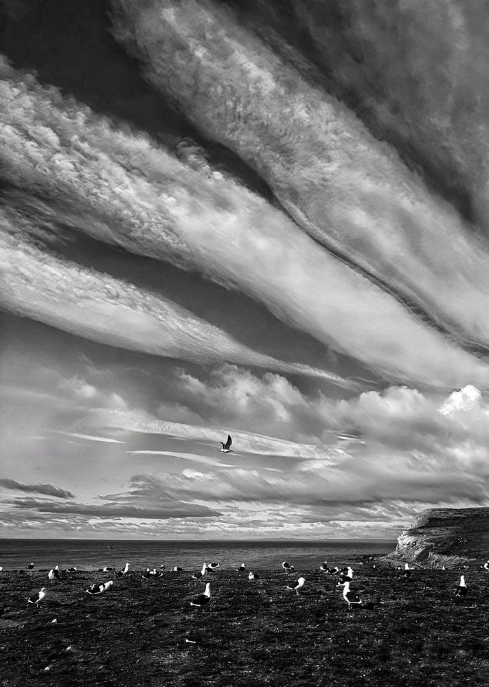 Photograph by Юлия Порфирьева