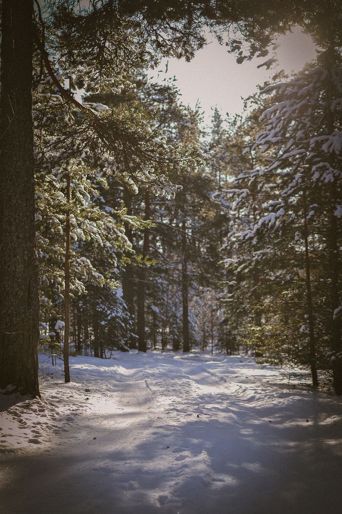 Photograph by Евгения Щеколдина