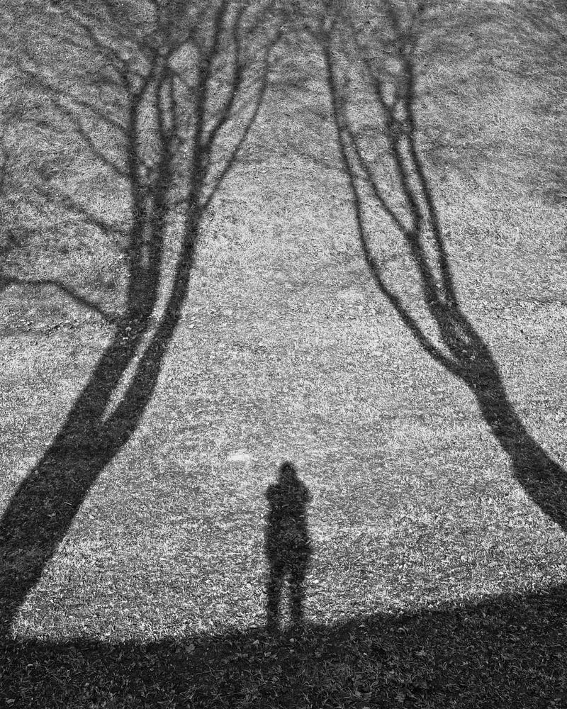 Фотография автора Светлана Герасимук