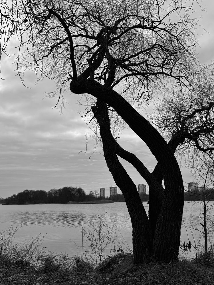 Фотография автора Светлана Герасимук