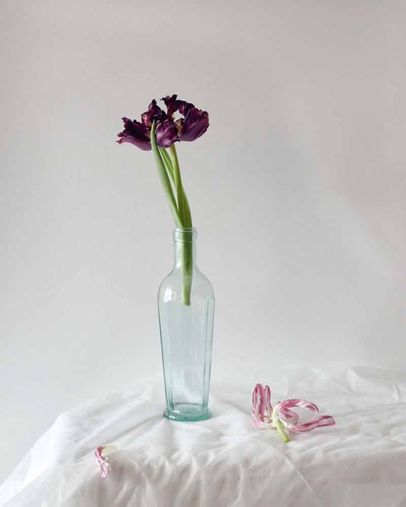 Photograph by Анна Статейко