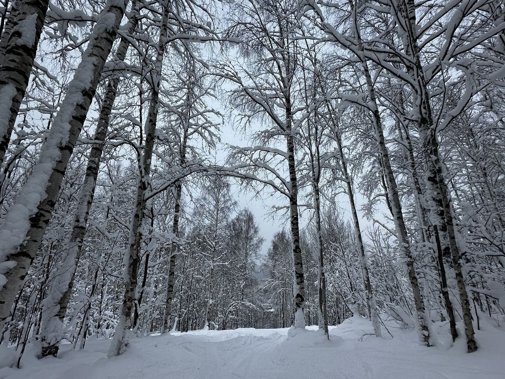 Photograph by Мария Петрова