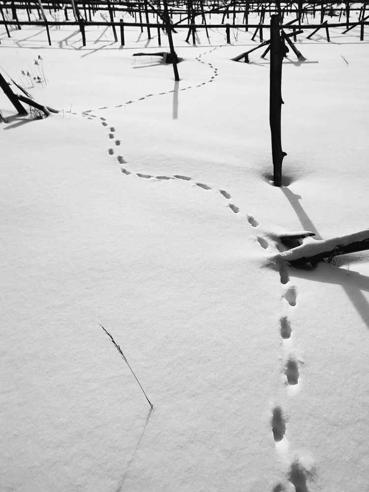 Фотография автора Ольга