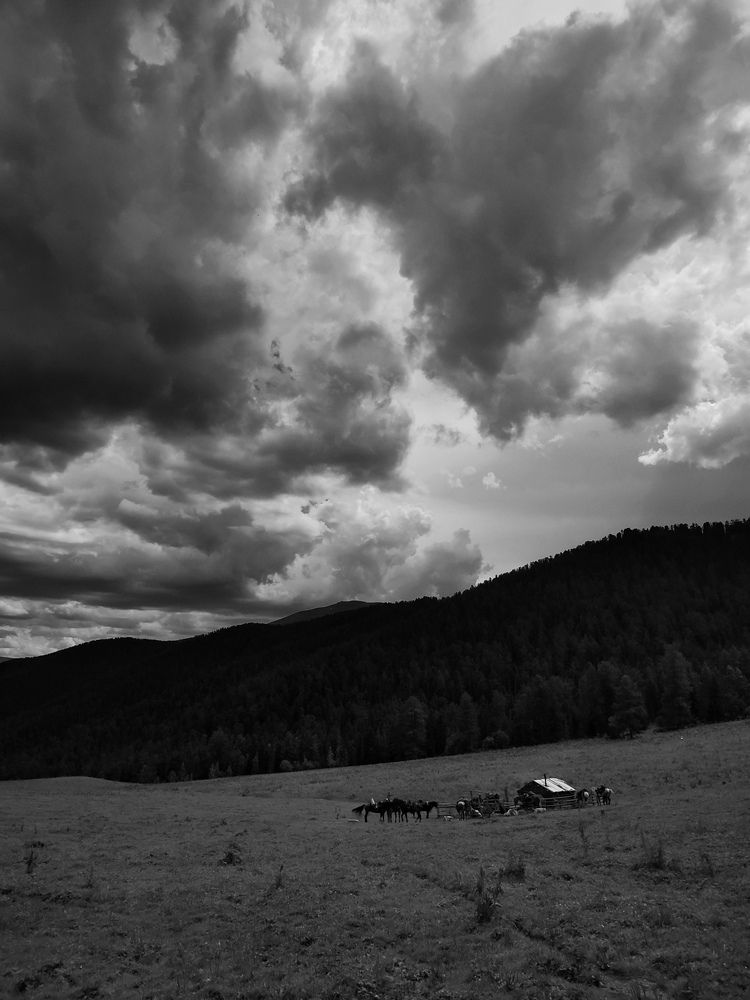 Фотография автора Ольга