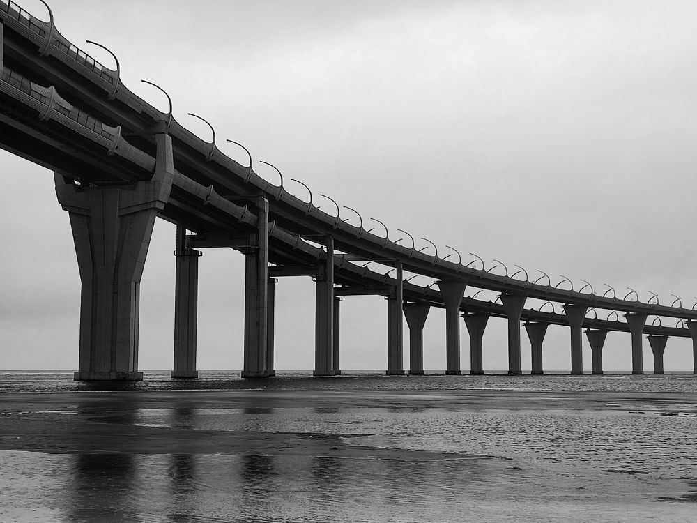 Фотография автора Ольга