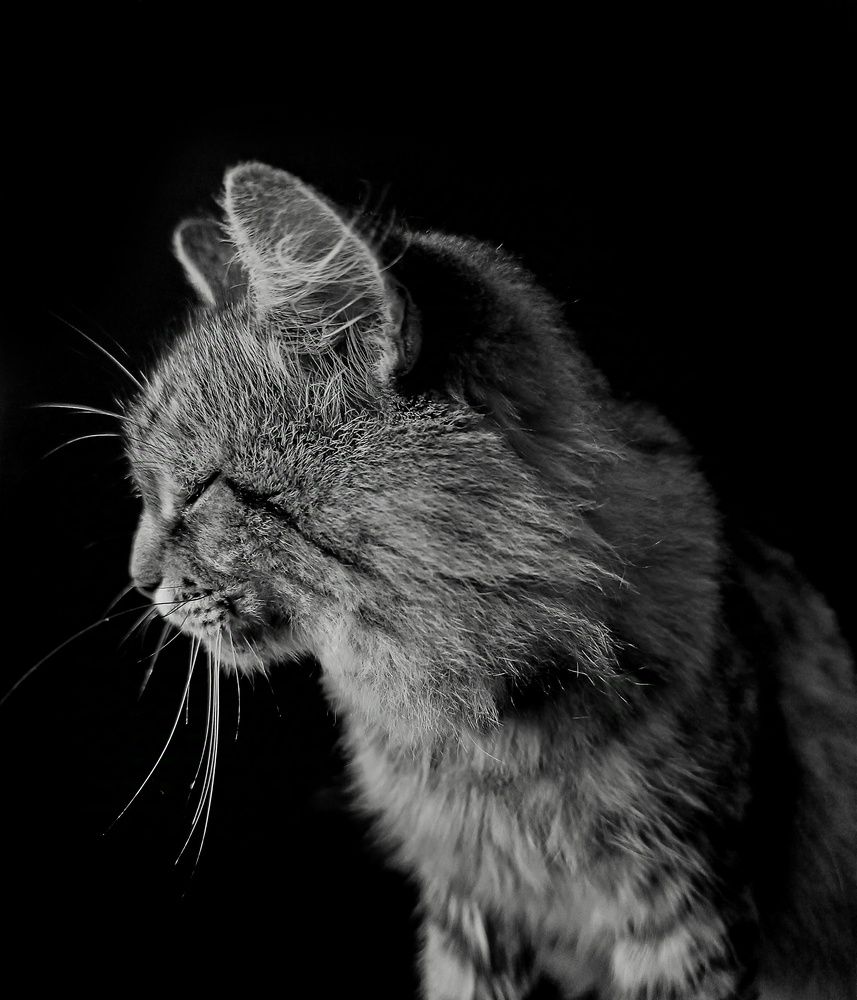 Photograph by Валентина Ливада
