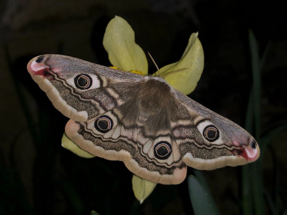 Photograph by Елена Солодовник