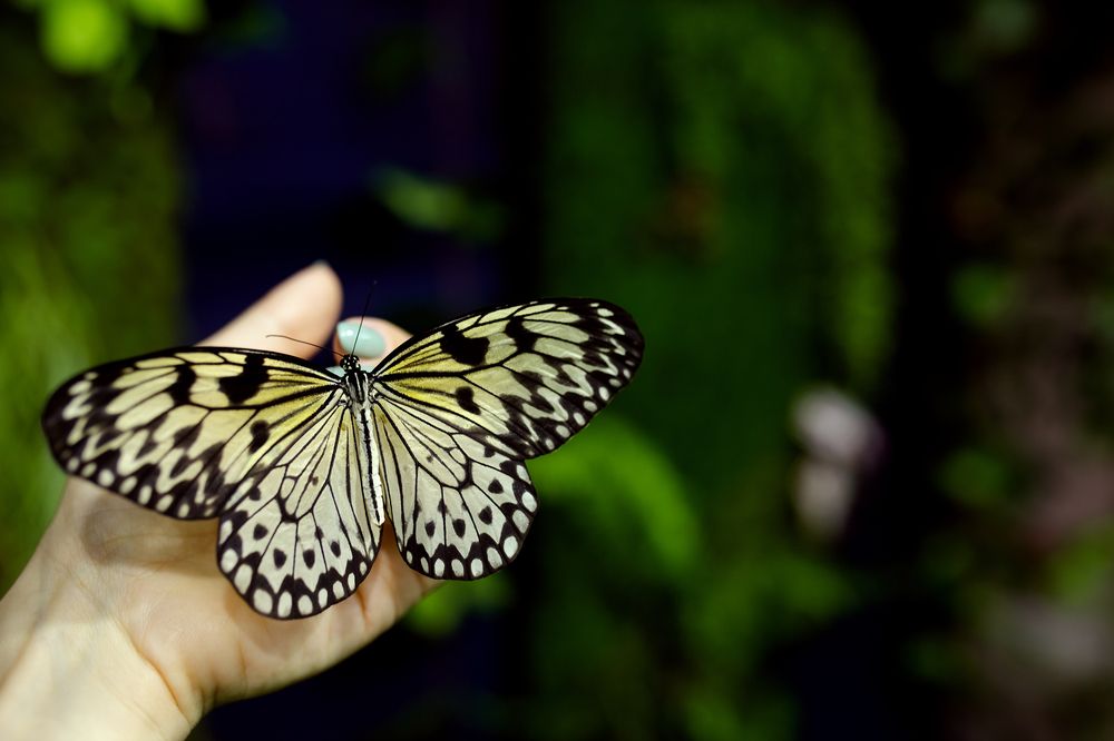 Photograph by Елена Гостева