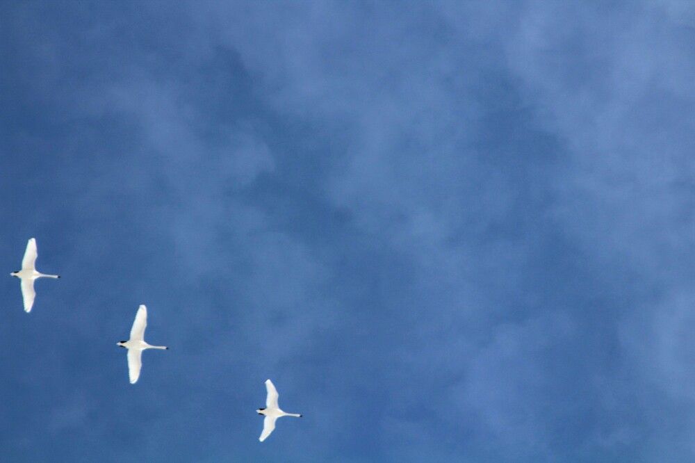 Photograph by Raitis Miksons