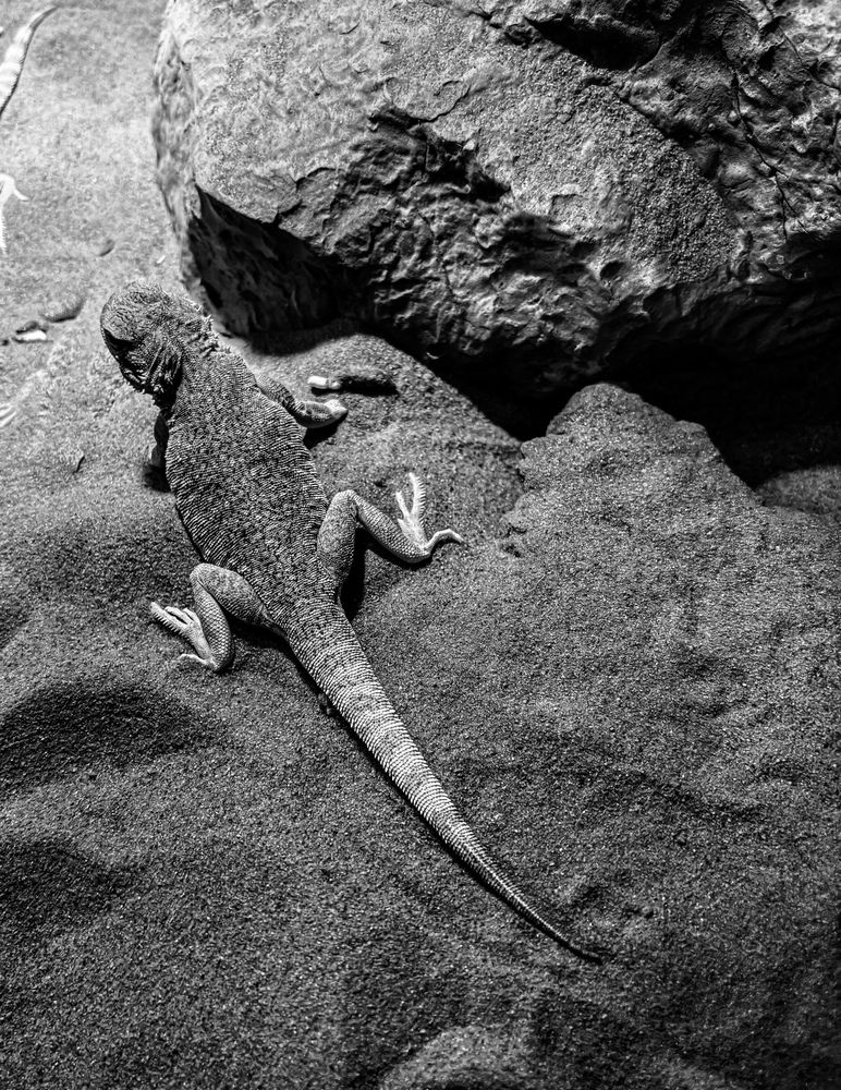 Photograph by Максим Зенкевич