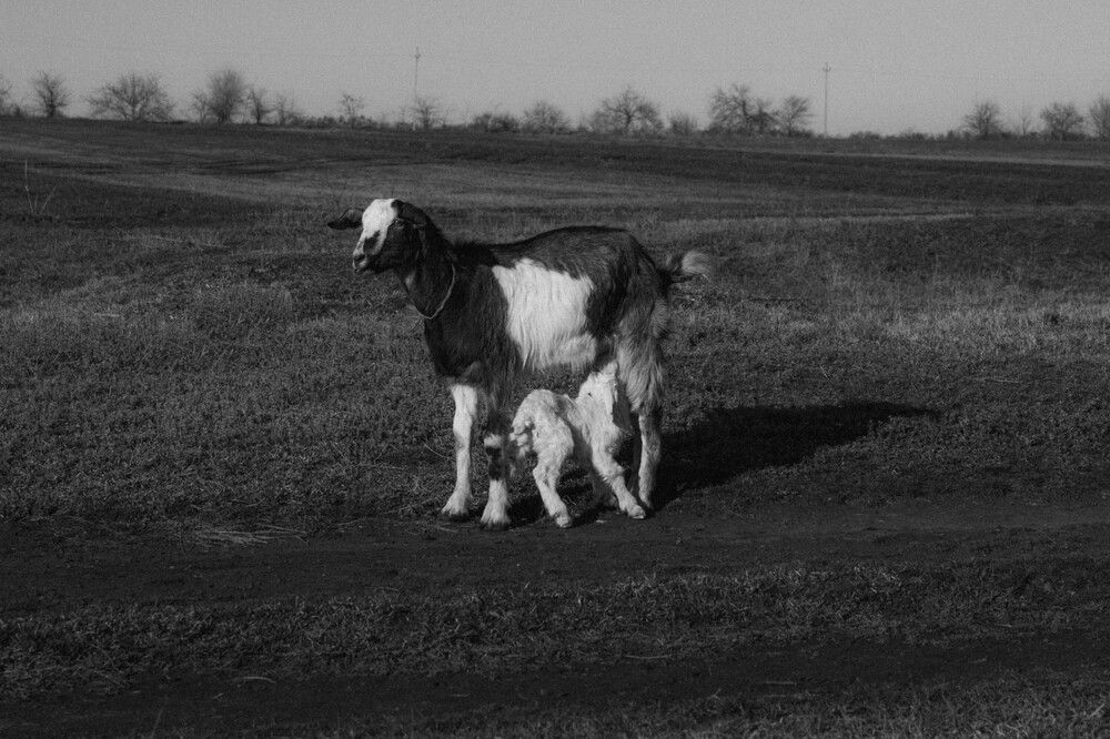 Photograph by Валентина Сабий