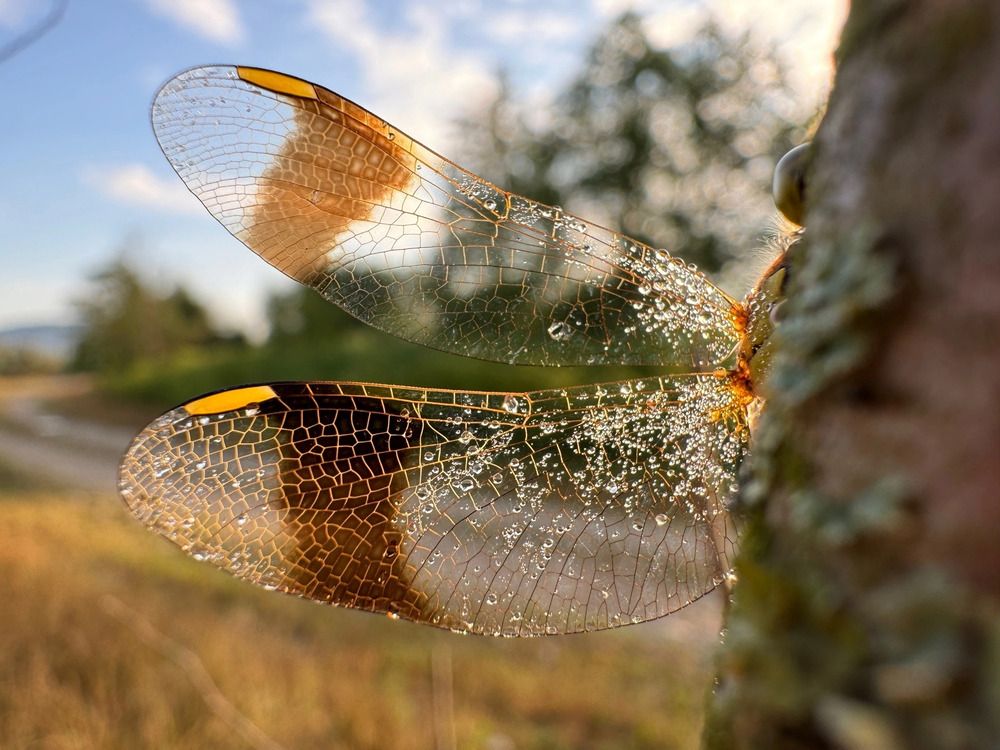 Photograph by Елена Солодовник