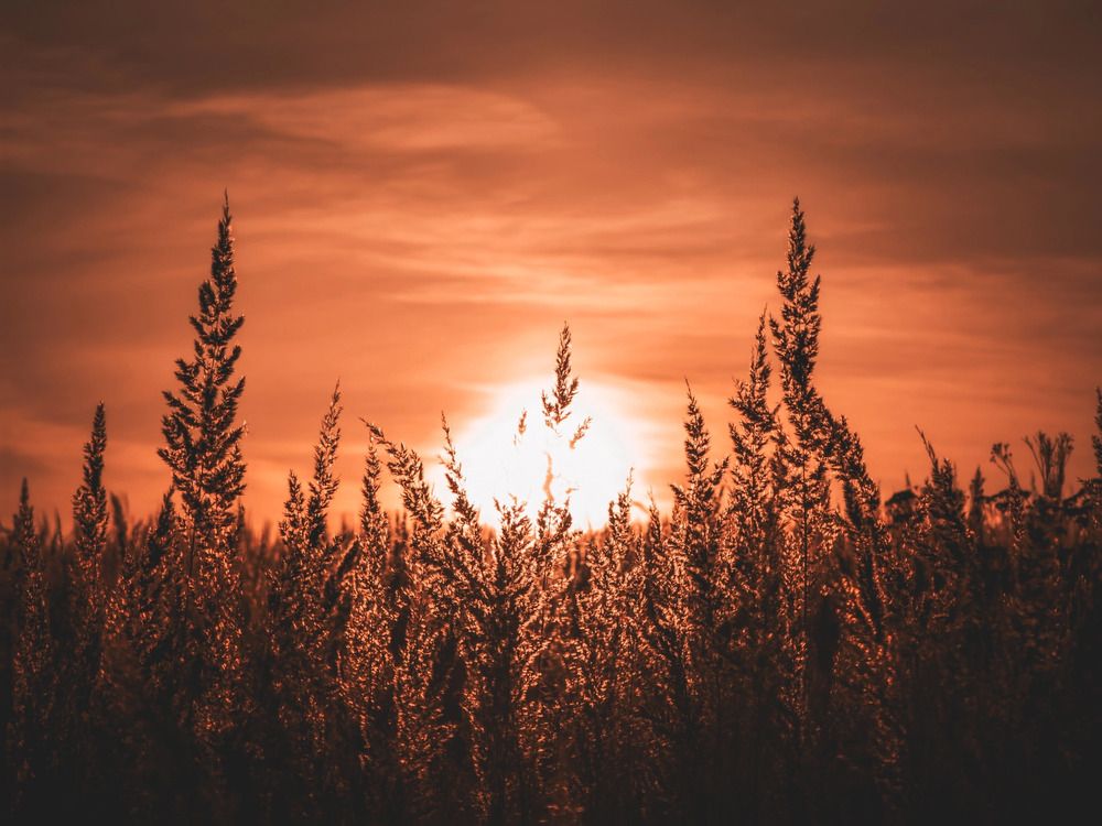 Photograph by Кирилл Сидоров