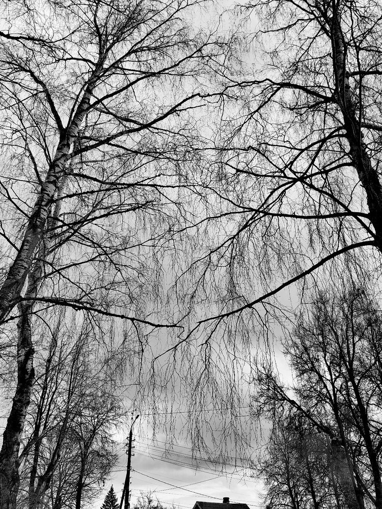 Photograph by Марина Побережная