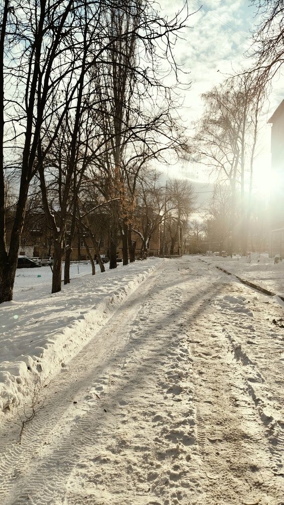 Photo #11897513