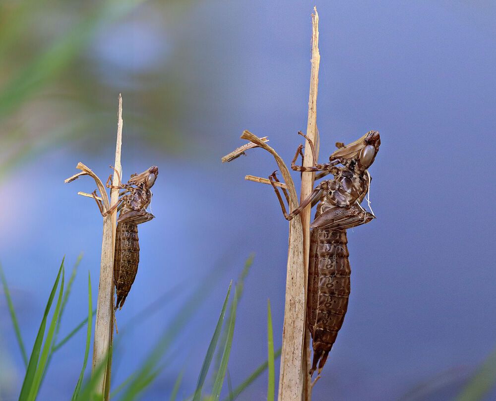 Photograph by Sergey Platonoff