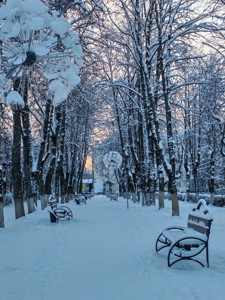 Photograph by Светлана Васильева