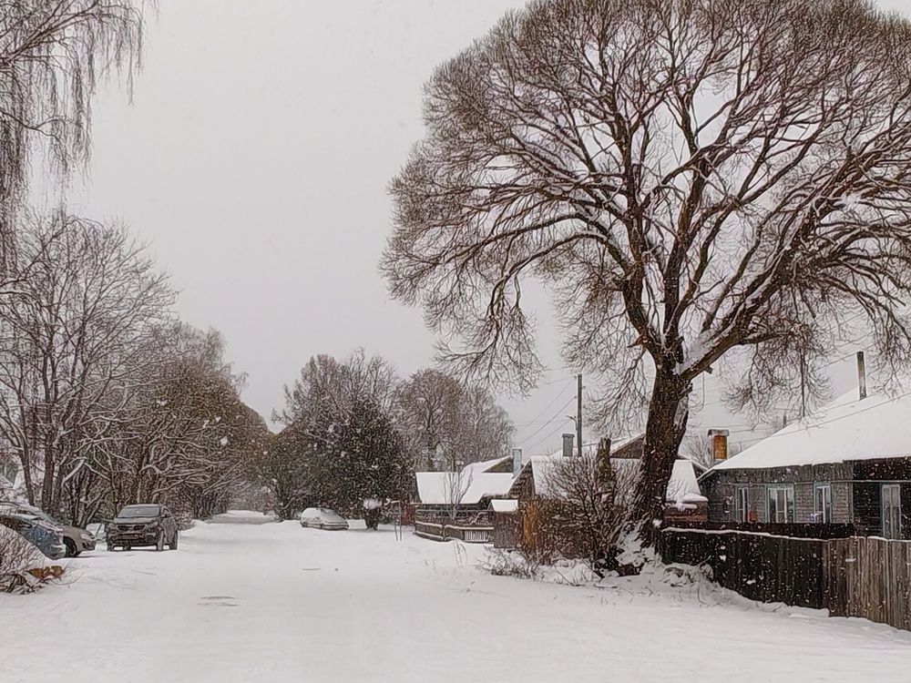 Photograph by Светлана Васильева