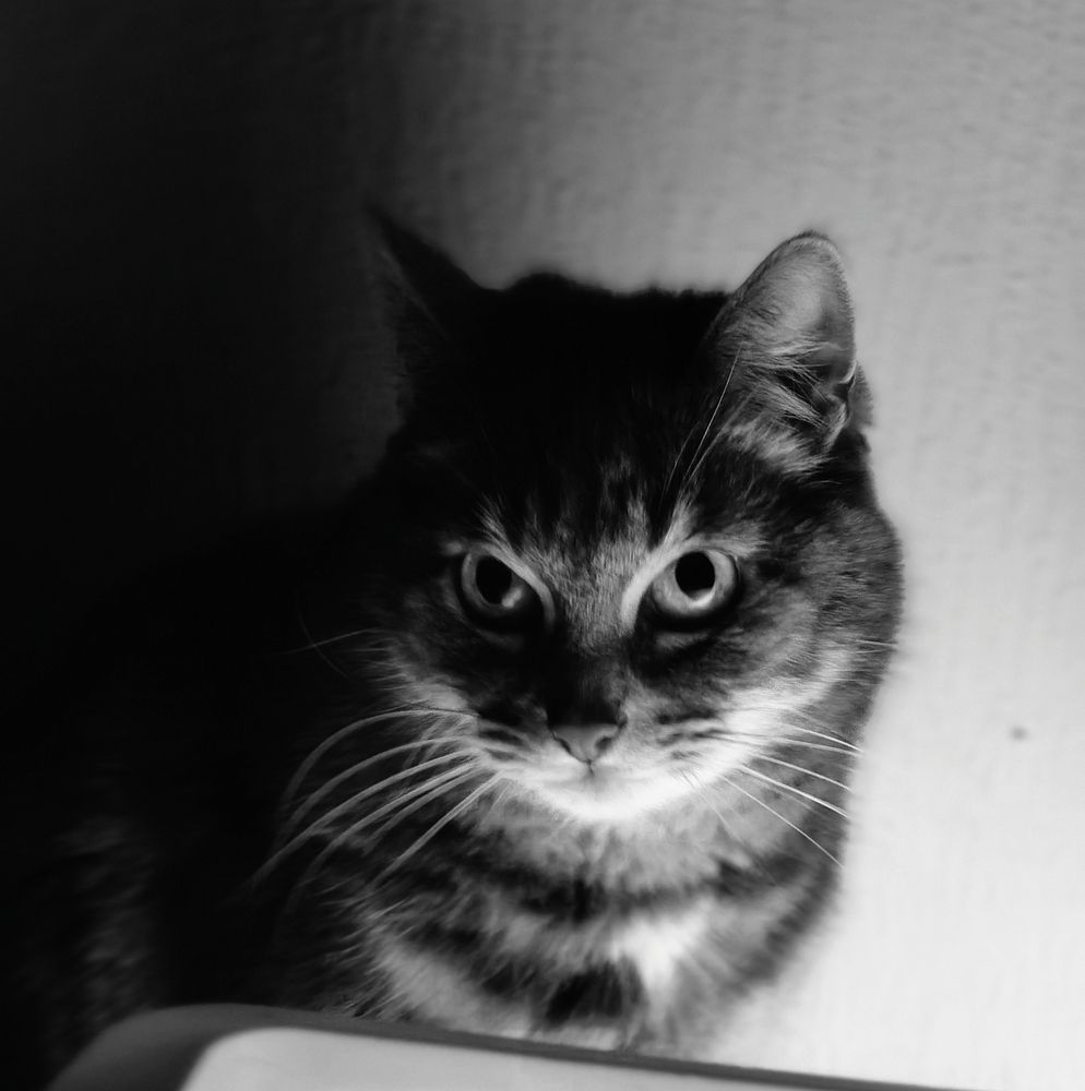 Photograph by Елена