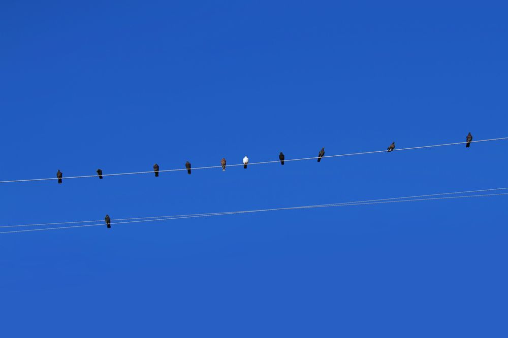 Photograph by Гагик Мхитарян