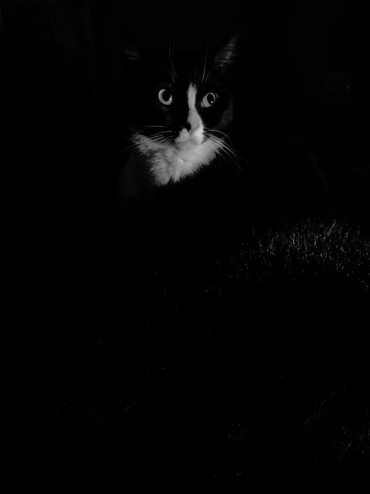 Photograph by Ольга Темкина