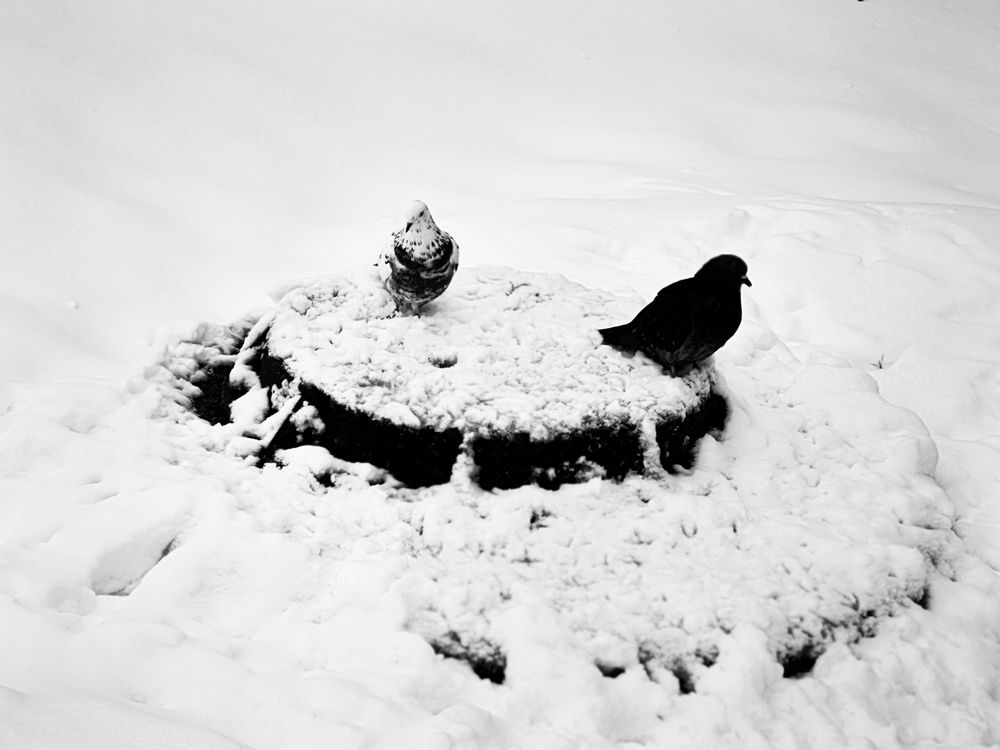 Photograph by Ольга Темкина