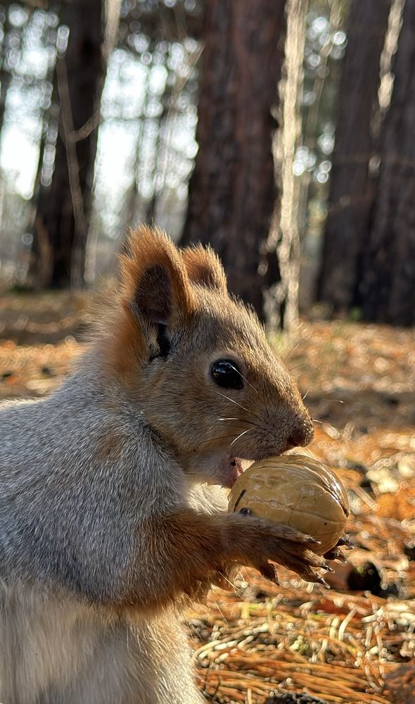 Photograph by Марина Мишутина