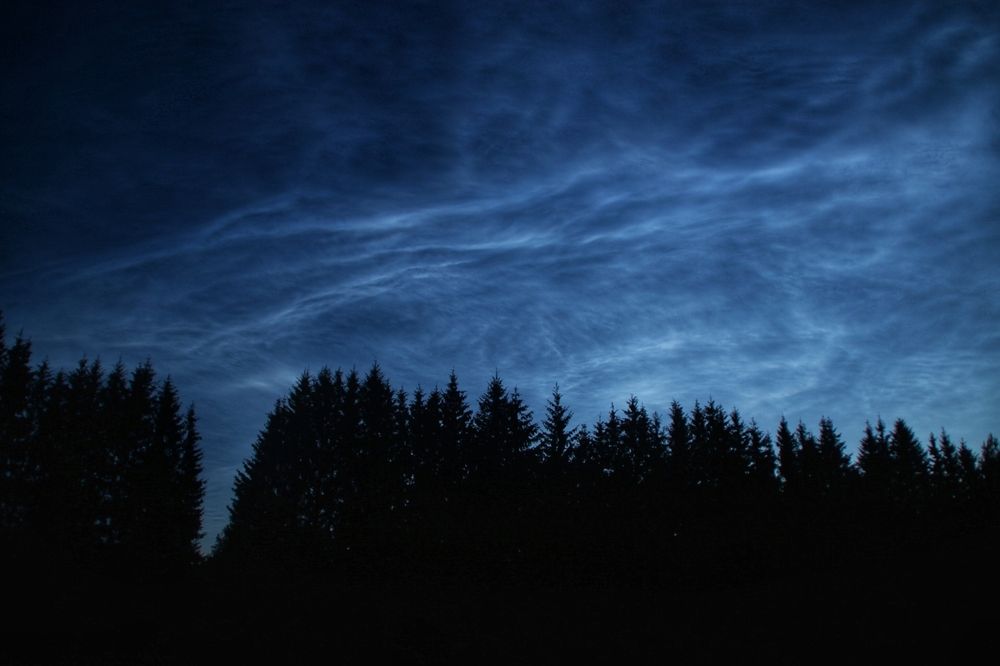 Фотография автора Роман Савин