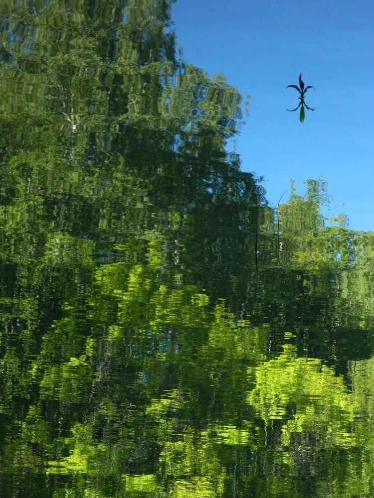 Photograph by Виктория Подрезова