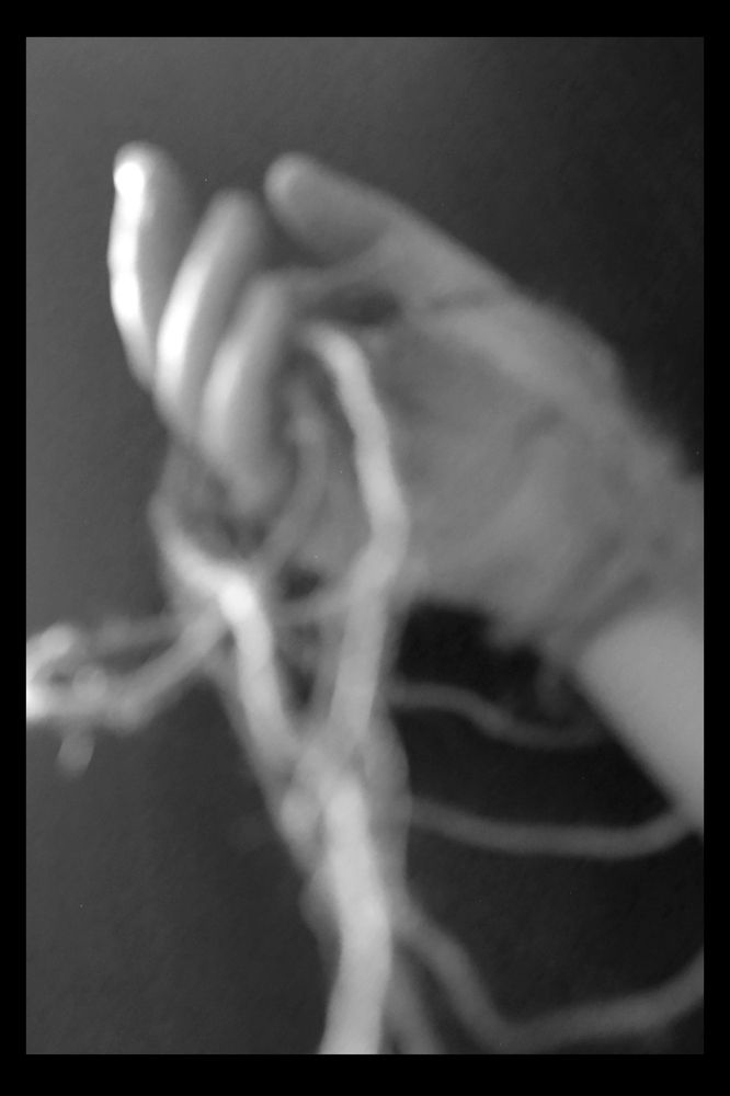 Photograph by Антонина Трифонова