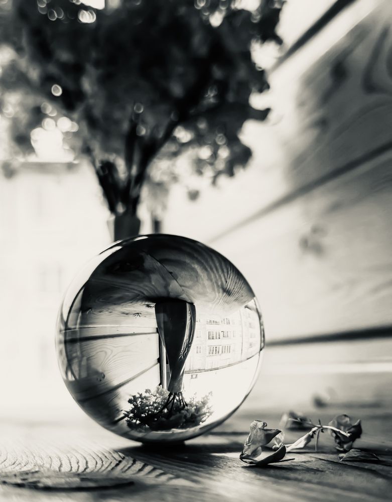 Photograph by Марина Мишутина