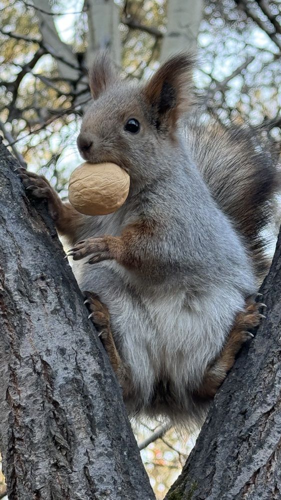 Photograph by Марина Мишутина