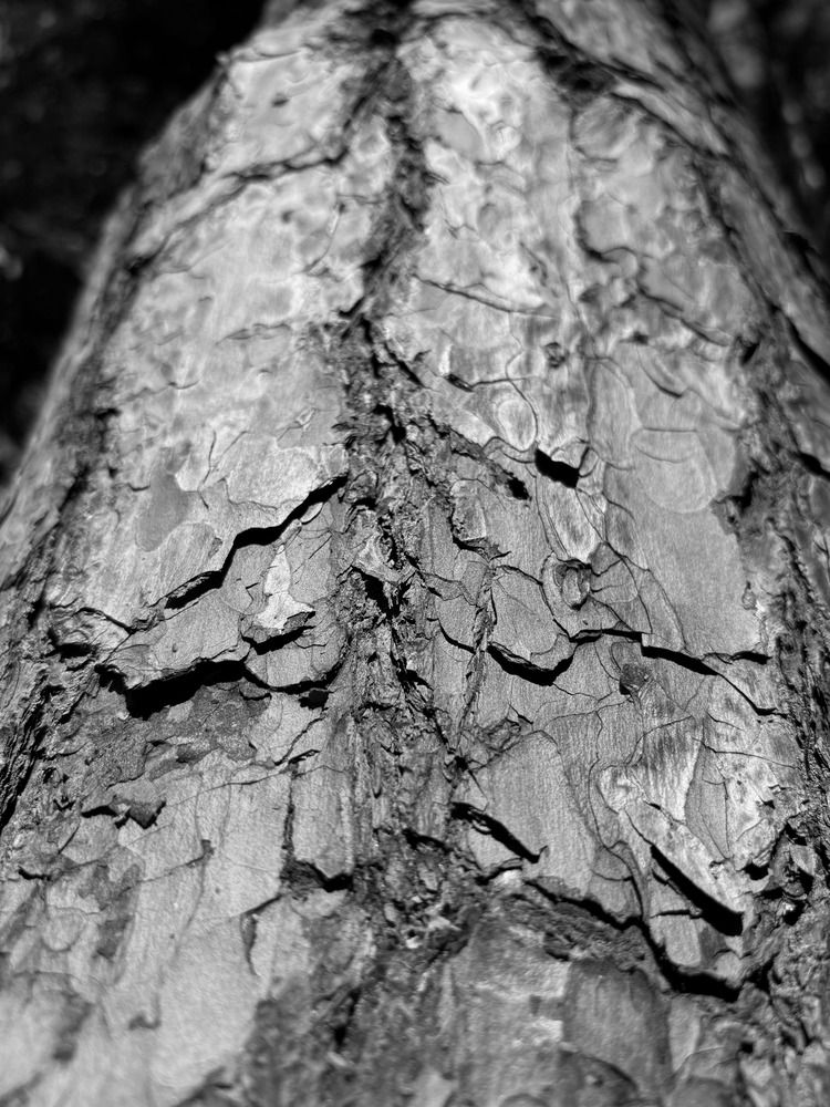 Photograph by Евгений Никонов