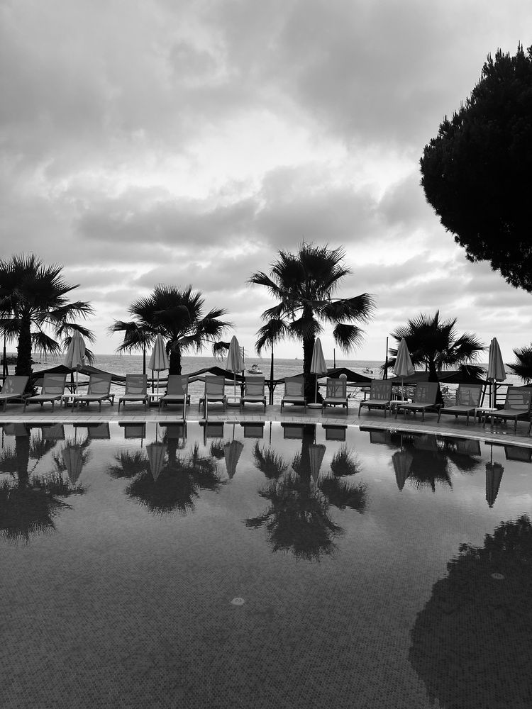 Photograph by Бауэр-Корнева Анна