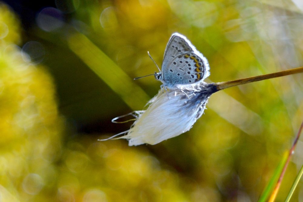 Photograph by Анна Зорька