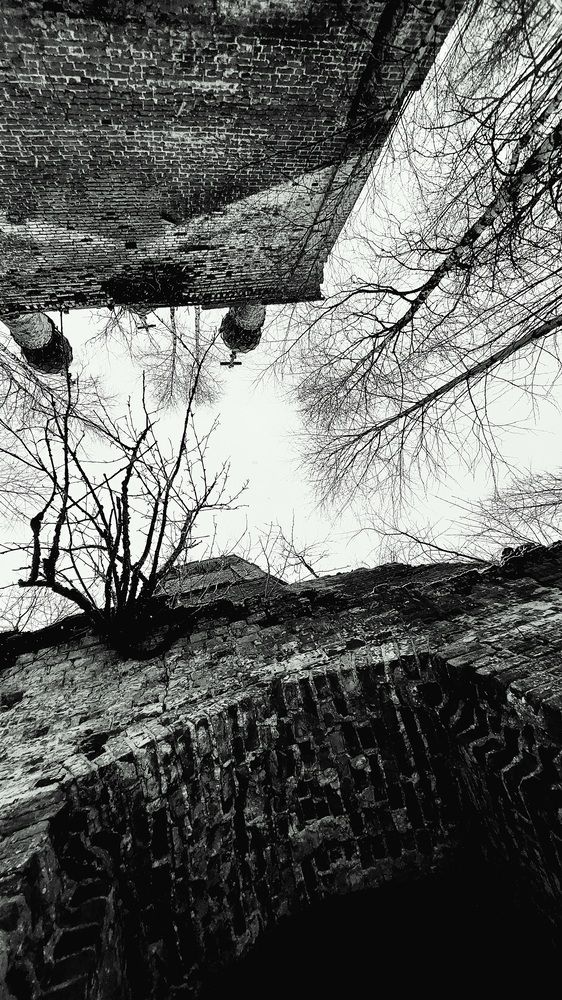 Photograph by Андрей Михайлин