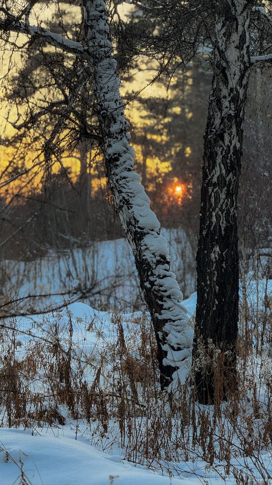 Photograph by Марина Мишутина