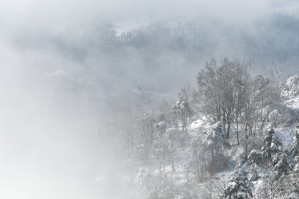 Photograph by Cristian Bertolini