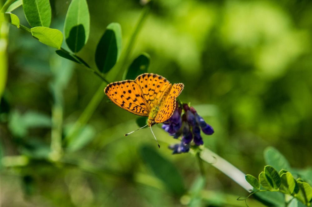 Photograph by Антон Курдюмов