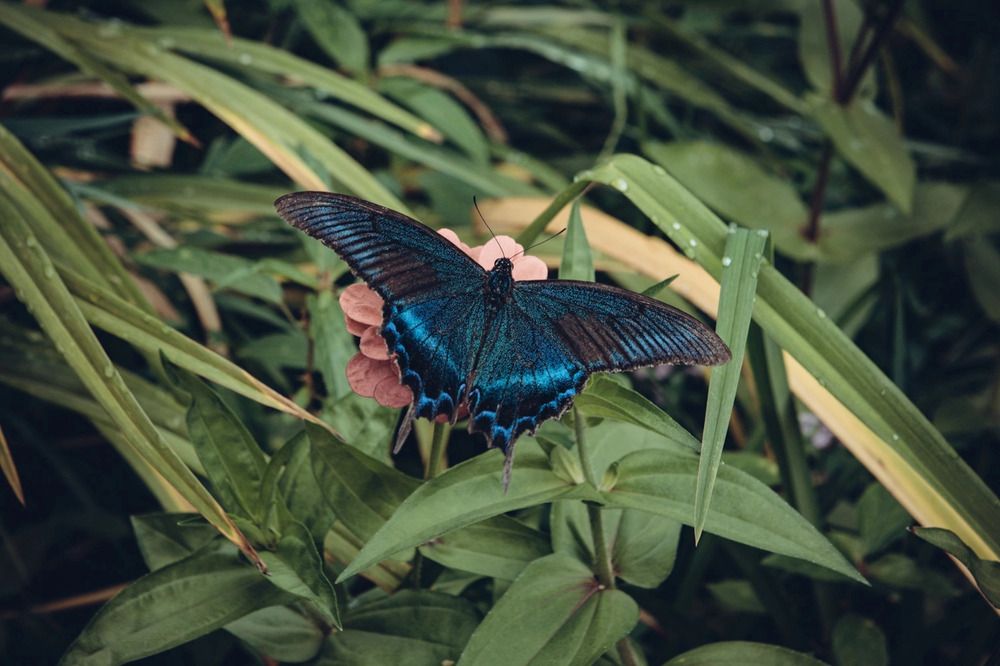 Photograph by Антон Курдюмов