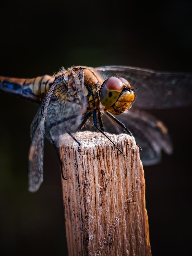 Photograph by Konstantin Martynov