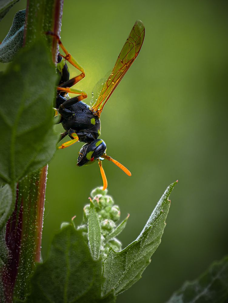Photograph by Konstantin Martynov