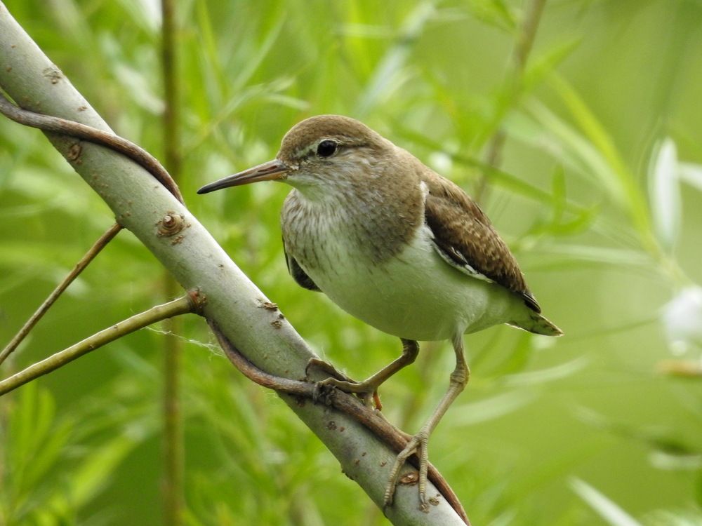 Photograph by Олеся Дейнеко