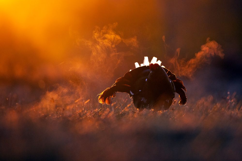 Photograph by Калинин Михаил