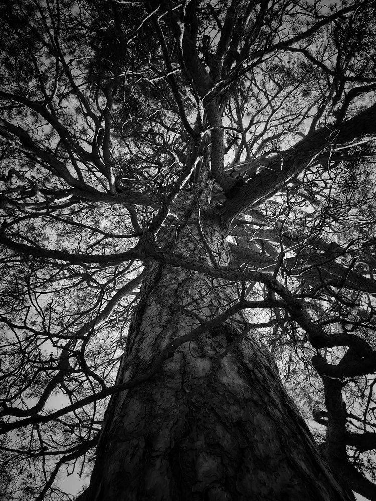 Photograph by Yulia Niki