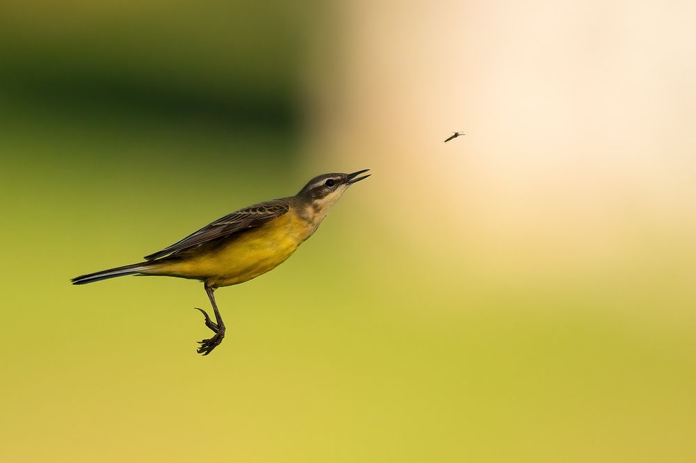 Photograph by Калинин Михаил